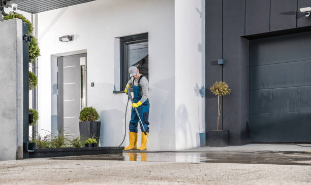Best Animal Enclosure Cleaning  in Ridge Wood Heights, FL